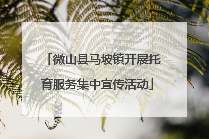 微山县马坡镇开展托育服务集中宣传活动